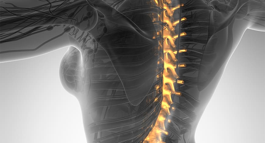 Fondo Médico