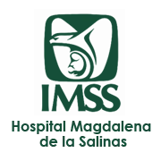 Hospital Magdalena de las Salinas IMSS